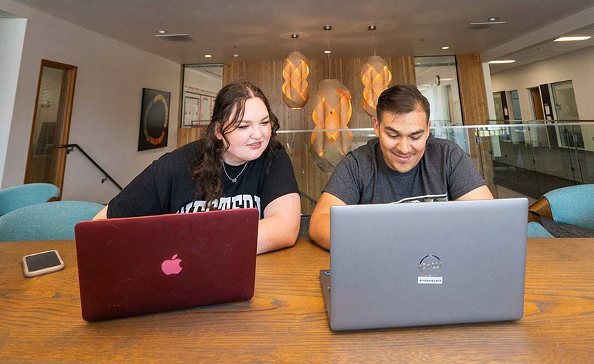 two people looking at laptops